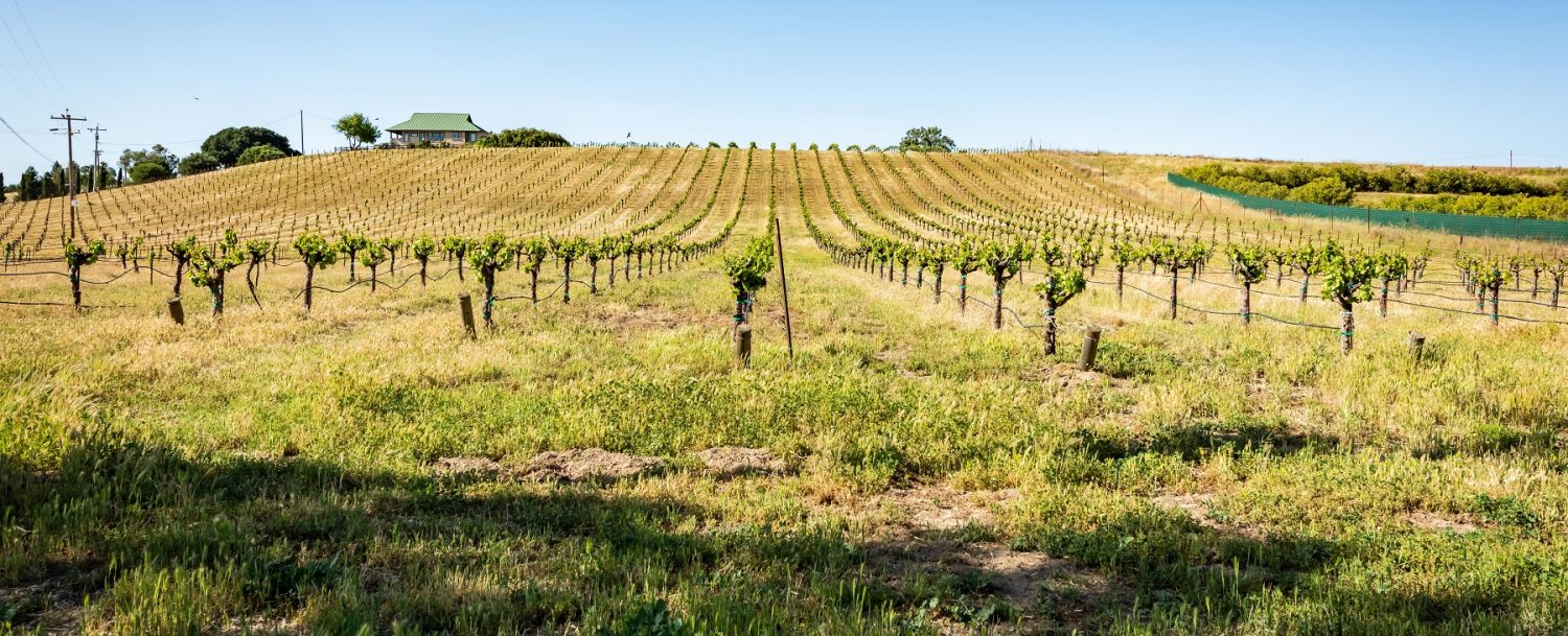 Nestled in a working vineyard and surrounded by 14 acres of wine grapes.