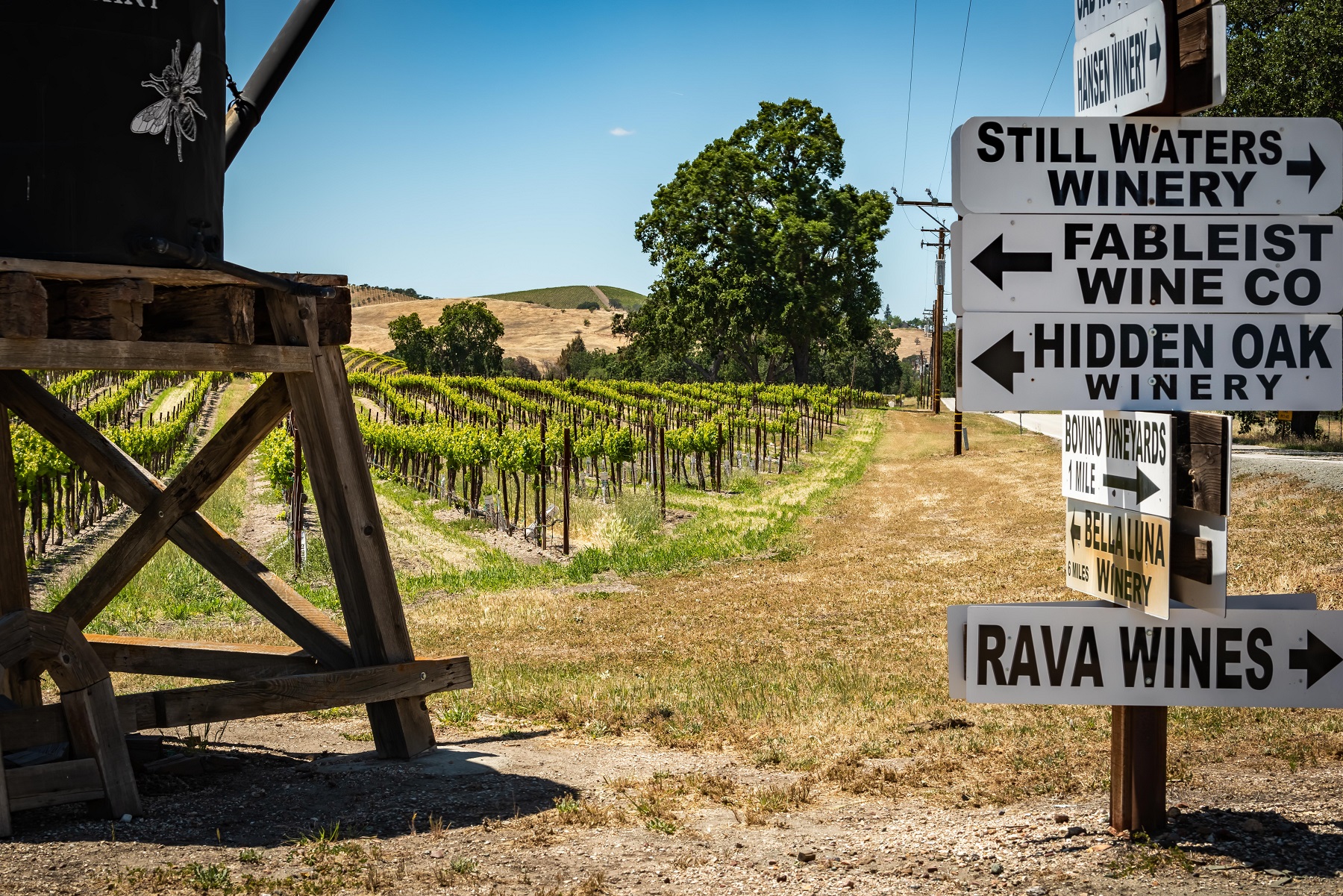 Surrounded by acres of vineyards and great wineries.