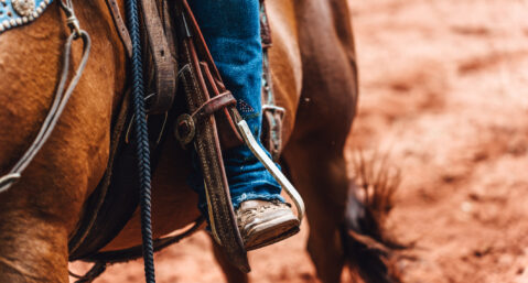 On horseback